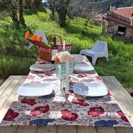 Casa Da Mata De Fajao