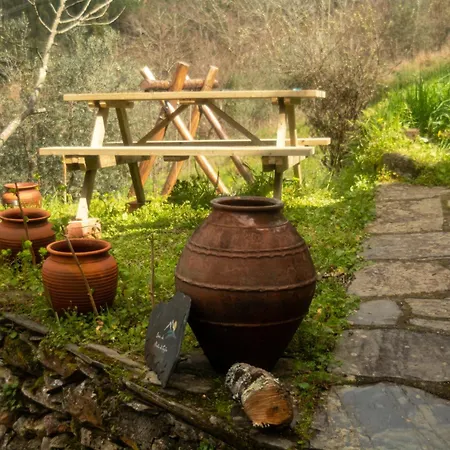 Casa Da Mata De Fajao Apartament *