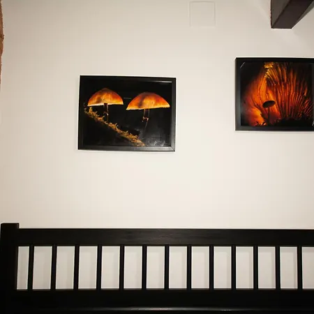 Casa Da Mata De Fajao