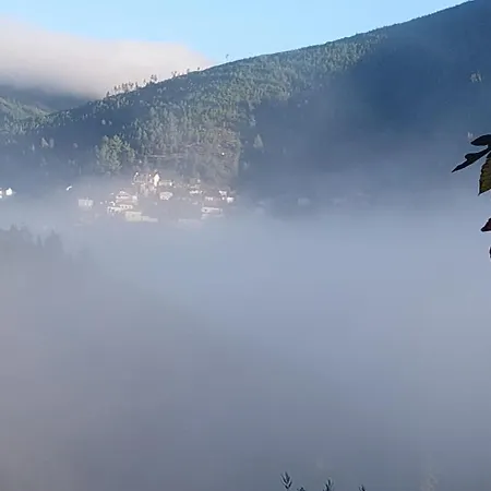 Casa Da Mata De Fajão * Pampilhosa da Serra