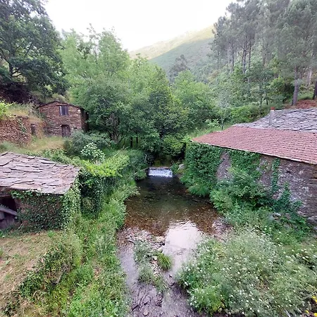 Casa Da Mata De Fajao *