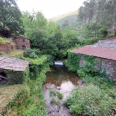 Casa Da Mata De Fajao *