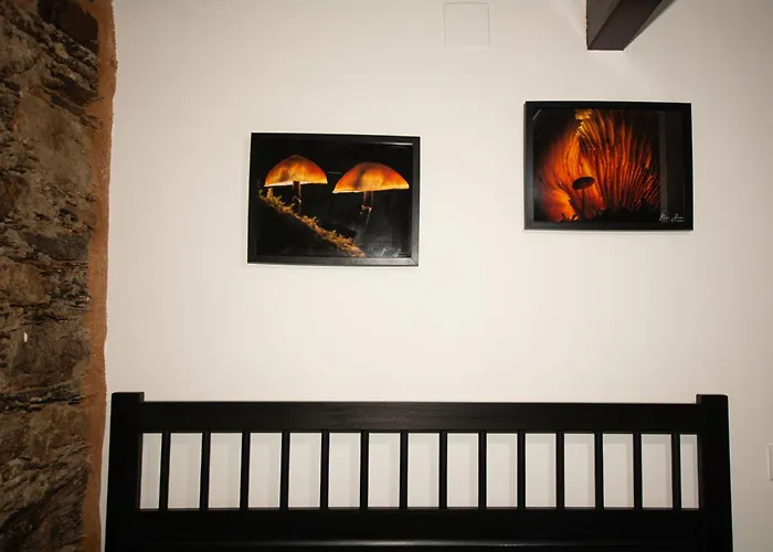 Casa Da Mata De Fajao