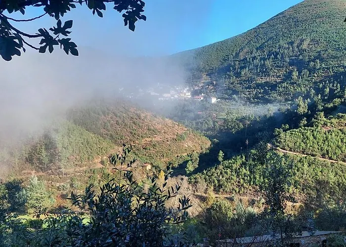 Casa Da Mata De Fajao *